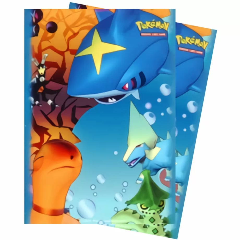 Pokemon Card Ultra Pro Magma vs Aqua Two Ambitions Pack Design Card Sleeves (50 Cards)