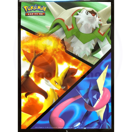 [Rose] Korean version BOX exclusive Brigaron &amp; Mafoxy &amp; Greninja sleeve (2014)