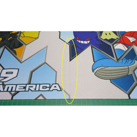 【B品】ポケモンカード 2019  NorthAmerica International Championships プレイマット