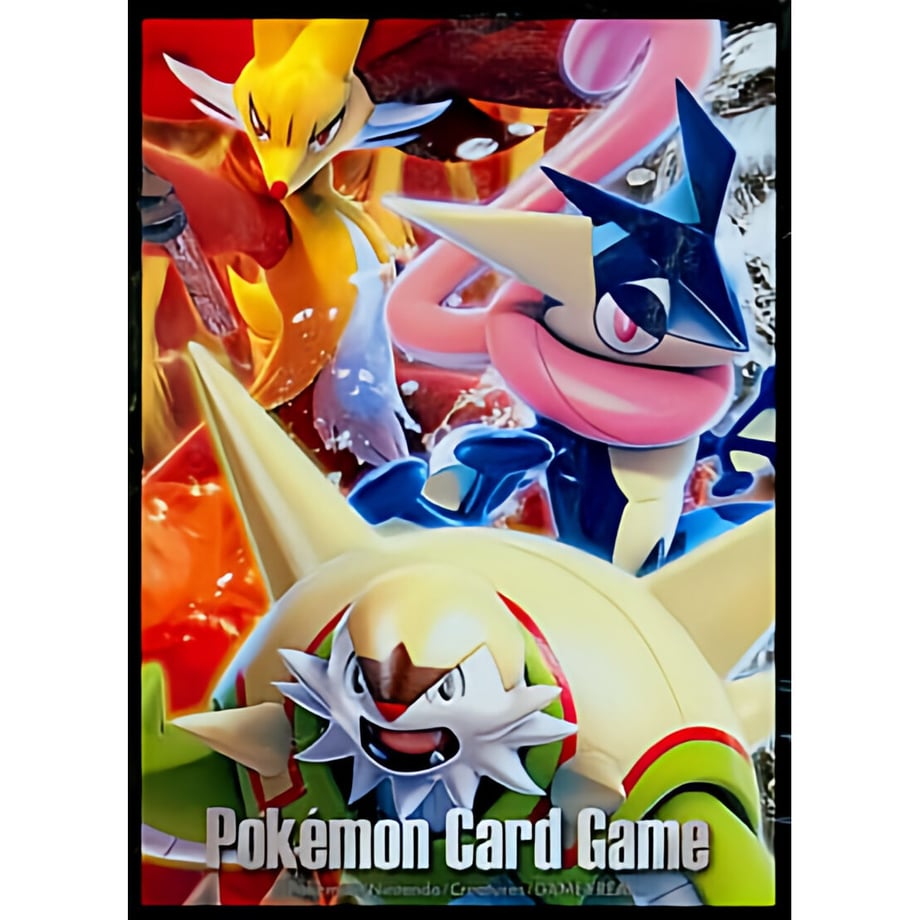 [Binary] Japanese Edition BOX Limited XY First Time Set DX (Brigadron, Greninja, and Mahok) Sleeve (2013)