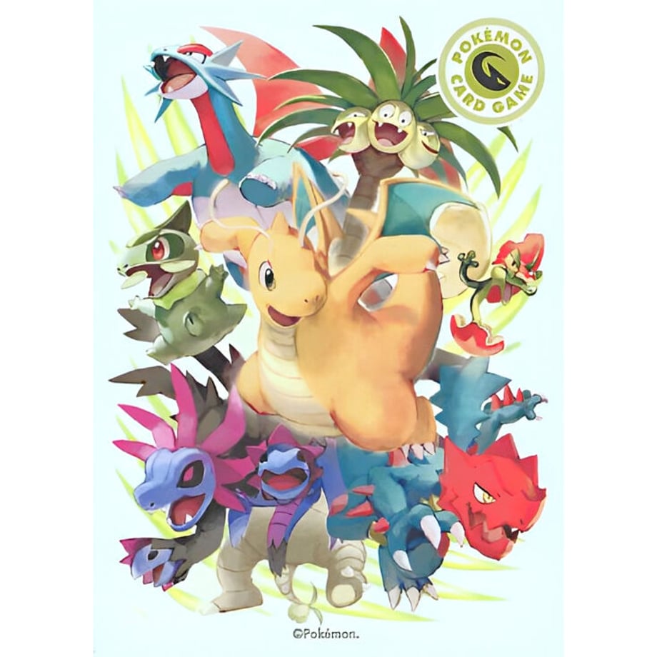 [Rose] Japanese Pokemon Center Exclusive Type Fighters Dragon Sleeve (2021)