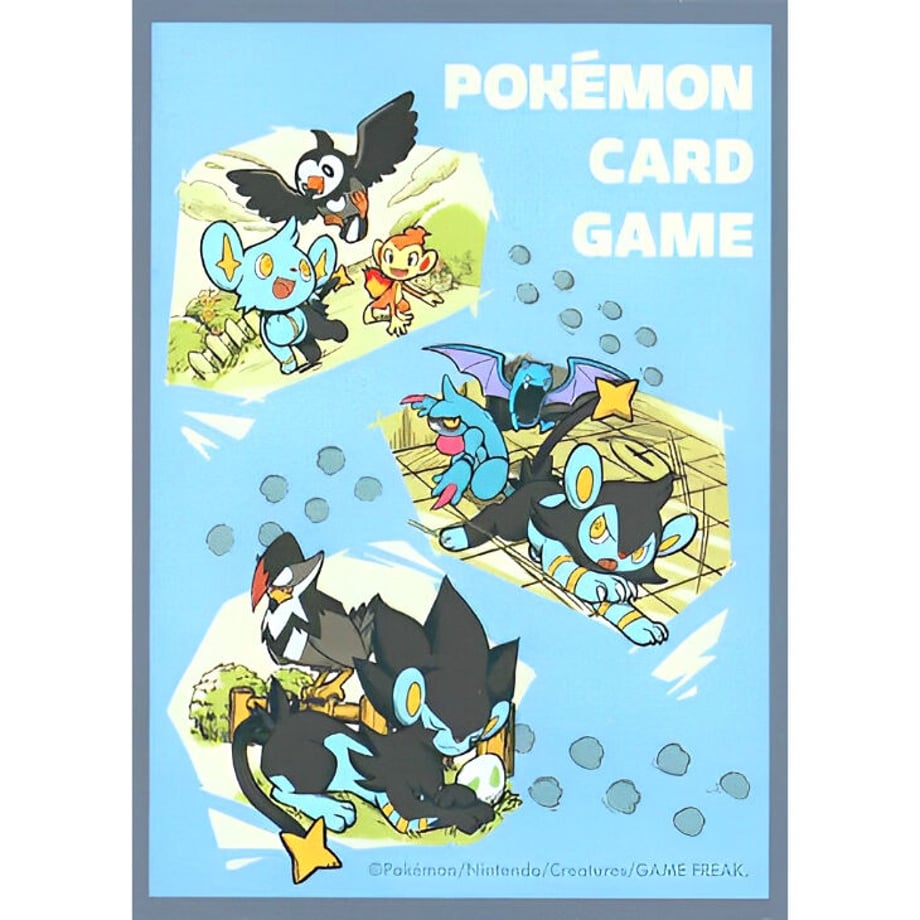 [Rose] Japanese version Pokemon Center exclusive MY RENTORAR'S STORY sleeve (2022)