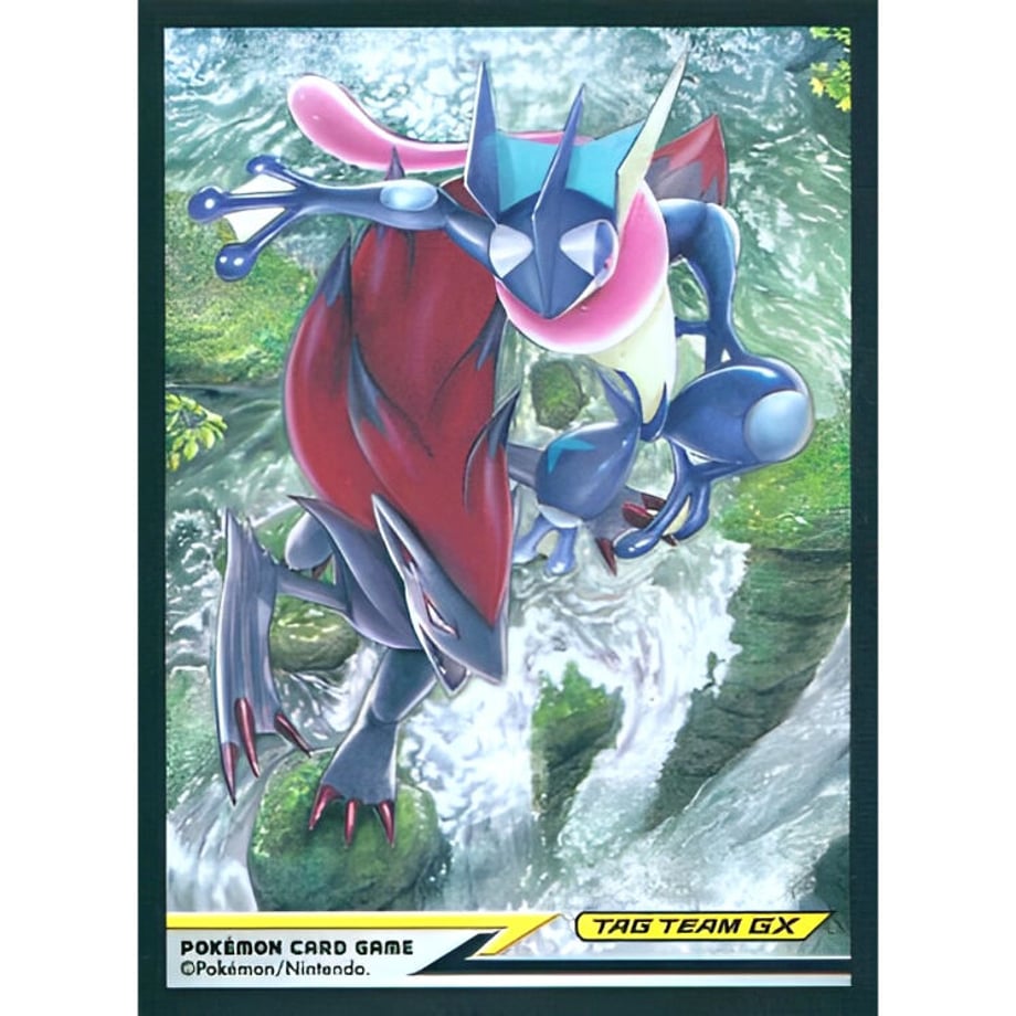 [Rose] Japanese version Pokemon Center exclusive Greninja &amp; Zoroark TAG TEAM GX (2019)